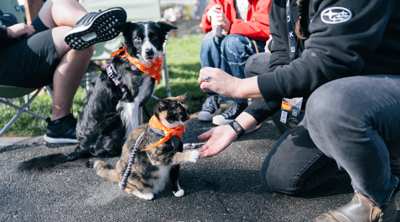 Expo SoCal Sat-1146 1